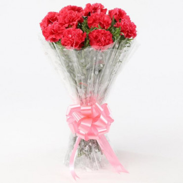 10 Passionate Pink Carnations Bouquet