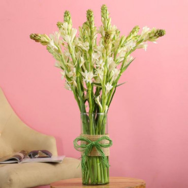 15 White Tube Roses In Cylindrical Vase