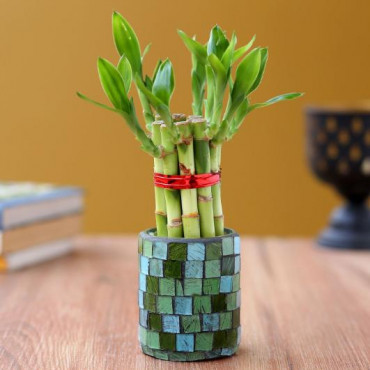 5 Bamboo Sticks in Teal Blue Mosaic Votive
