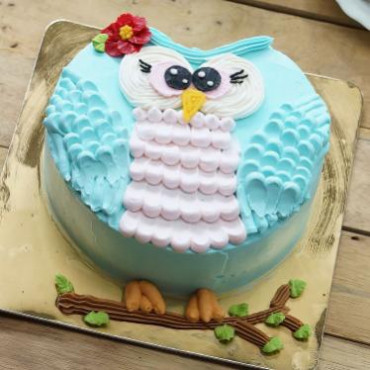 Adorable Owl Cake