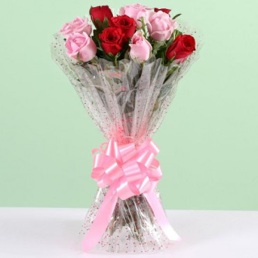 Appealing 10 Red Pink Roses Bunch
