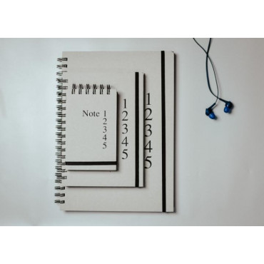 Ash Set of 3 Wiro Notebooks