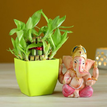 Bamboo Plant & Pink Dhoti Ganesha Idol