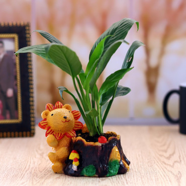 Peace lily Plant in welcome animal shape cute Planter