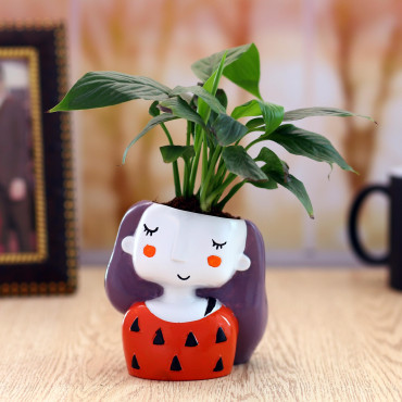 Peace lily Plant in Orange Girl Planter