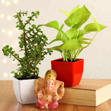 Money & Jade Plant With Ganesha Idol