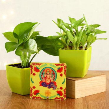 Money & Two Layer Bamboo Plant With Ganesha Table Top