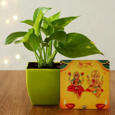 Money Plant in Green Pot & Diwali Table Top