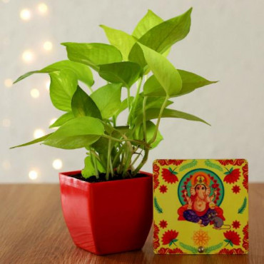 Money Plant in Red Pot & Ganesha Table Top