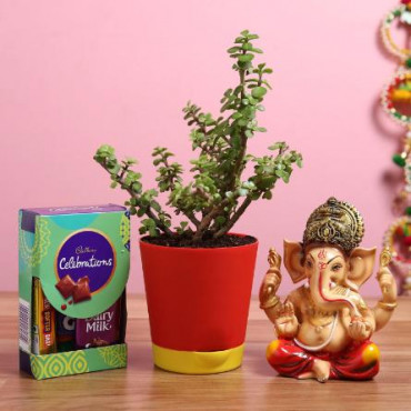 Raja Ganesha Idol Jade Plant With Cadbury Combo
